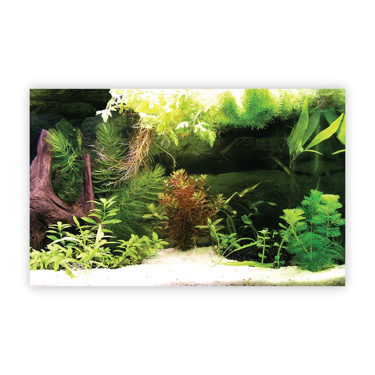 VVWV® Aquirium Background Stickers for Fish Tank Waterproof Vinyl Printed Sticker (61 X 41 CMS) (B0BW466QX5) Amazon Price History, Amazon Price Tracker