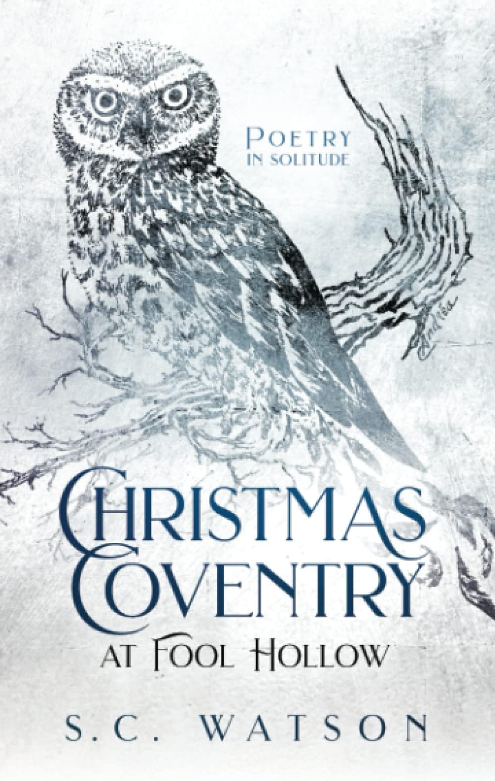 Christmas Coventry at Fool Hollow: Poetry in Solitude