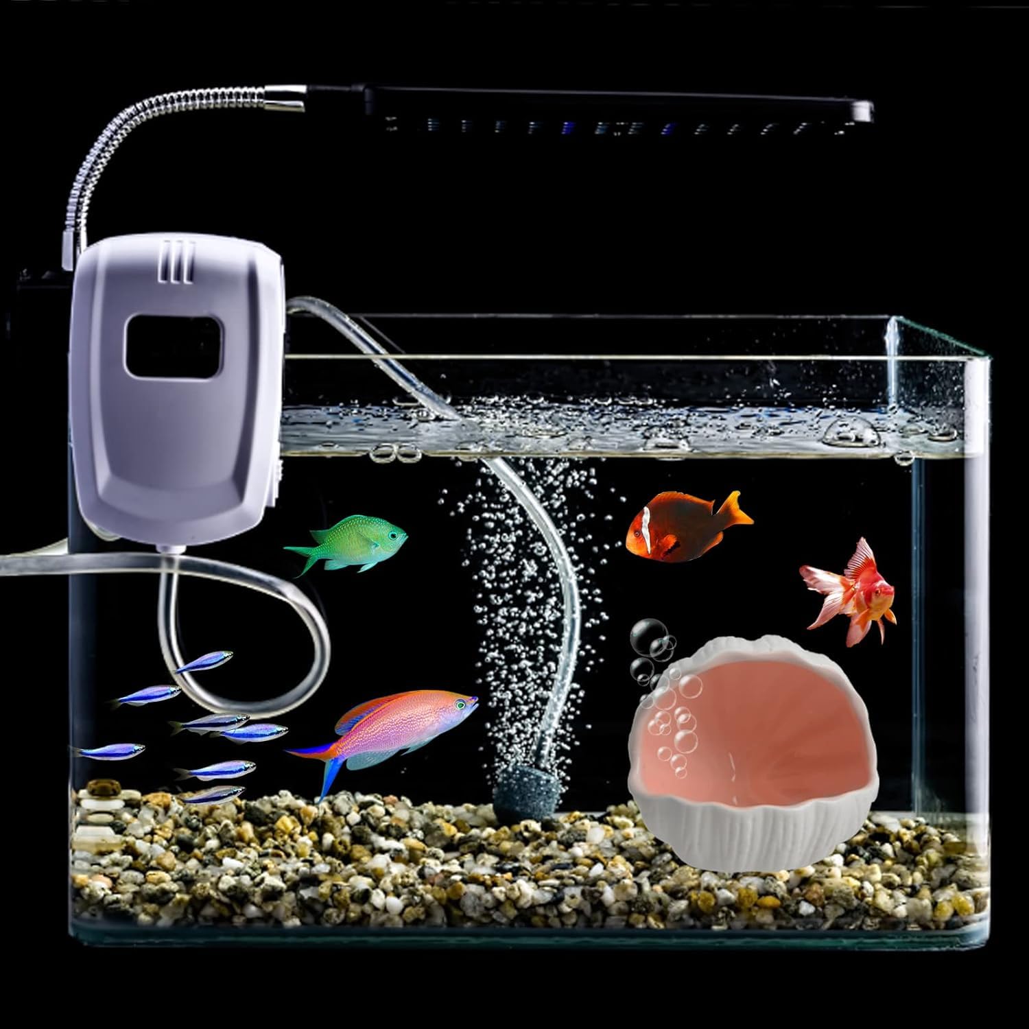 View 5