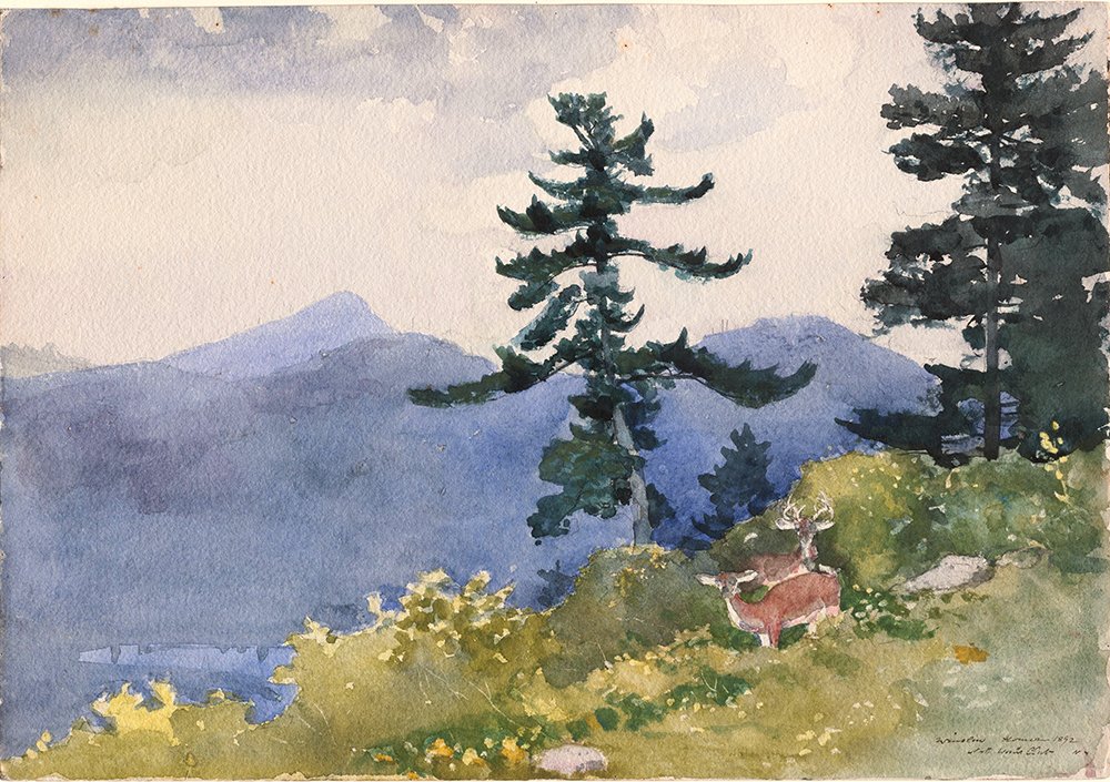 Poster Winslow Homer North Woods Club Adirondacks grand format semi gloss encadré