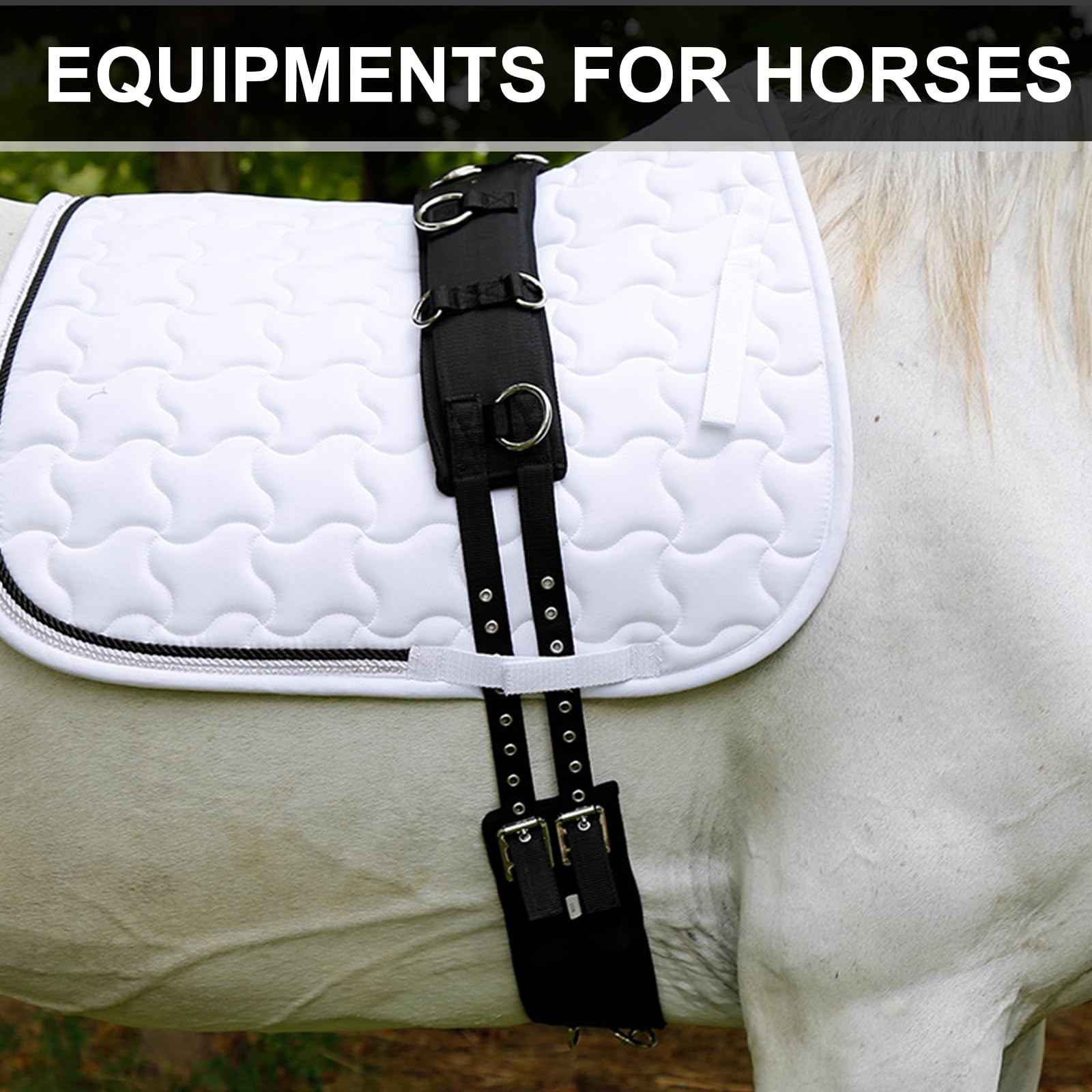 Sillines de entrenamiento con hebilla para caballo, arnés para el vientre, accesorios para equitación, ajustable