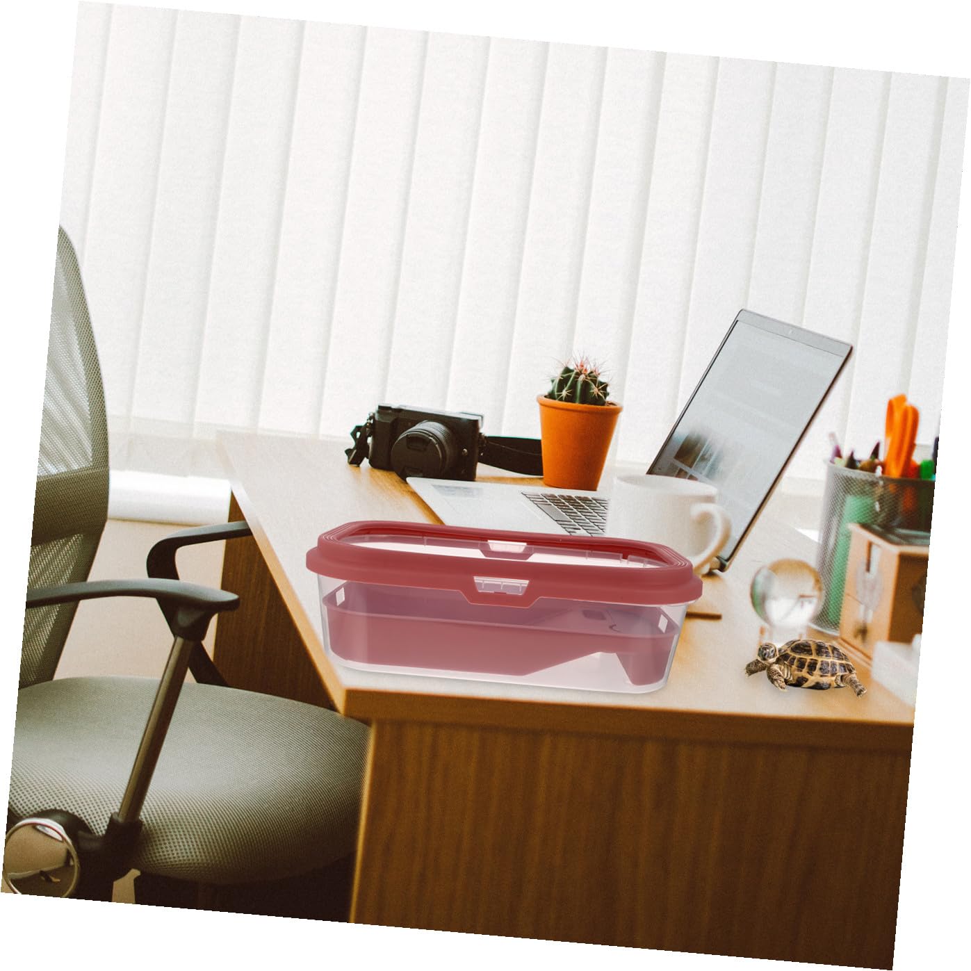 VICASKY Acquario per Tartarughe Domestiche Grande con Piano di Riposo Rosa Chiaro 43,7x26 Cm in Plastica, Vasca con Rampa Antiscivolo per Rettili e Anfibi, Habitat Multifunzionale