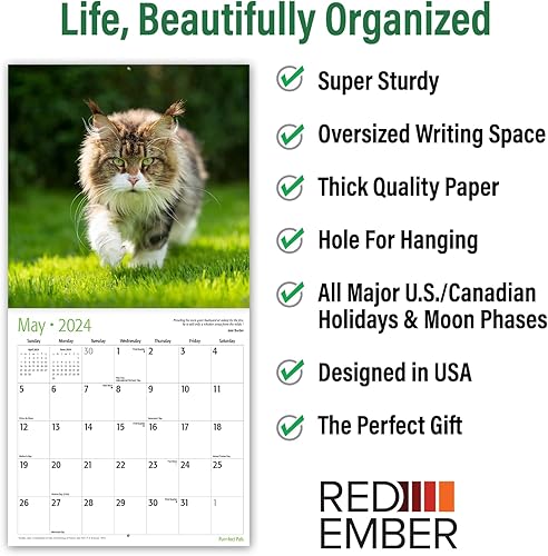 Miniatura 3 de RED EMBER Purr-fect Pals Cats  Calendarios de pared mensuales colgantes 2024  12 x 24 pulgadas abierto  Papel brillante grueso y resistente  Gatitos