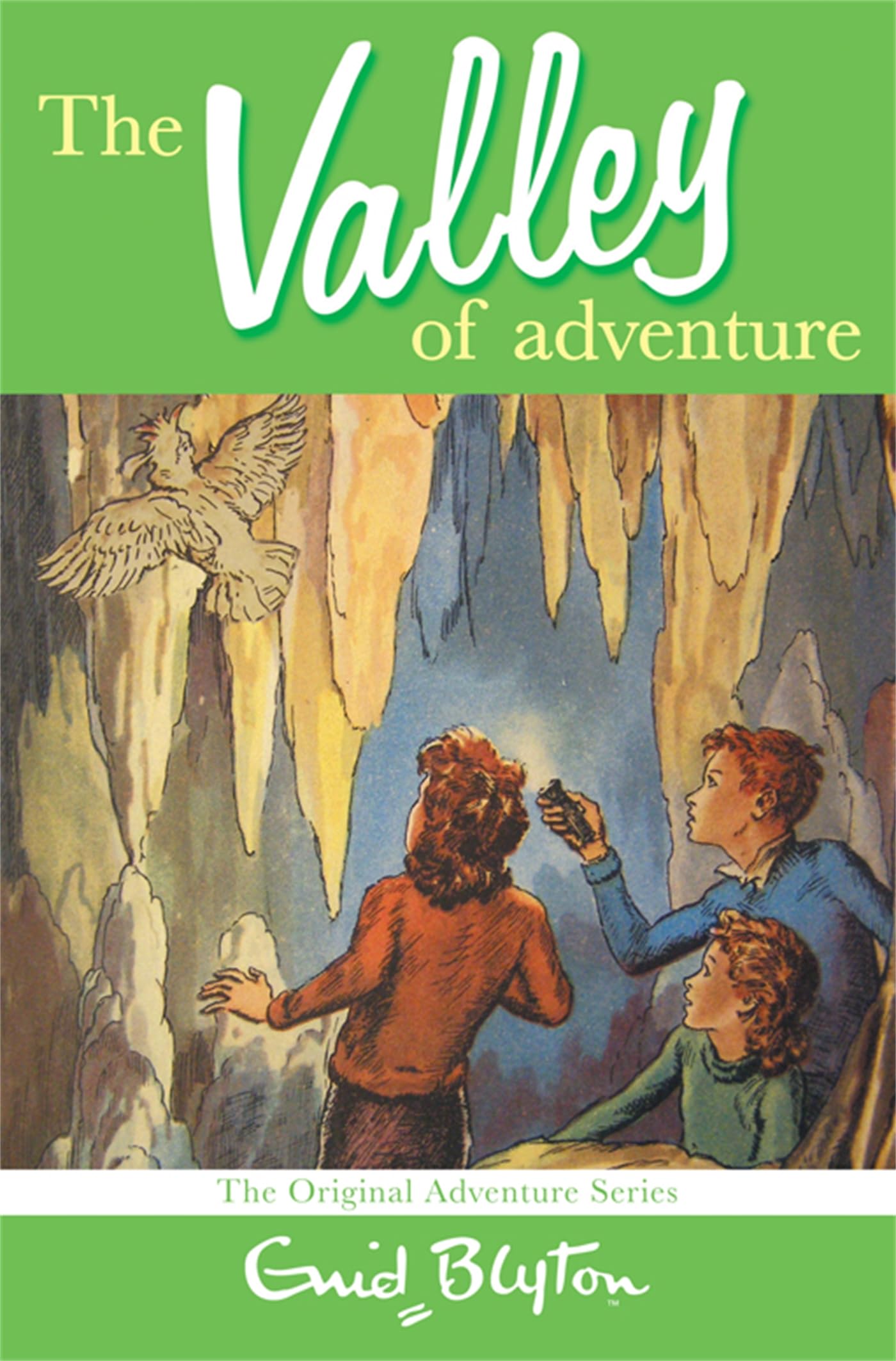 The Valley of Adventure: The classic children's adventure mystery
