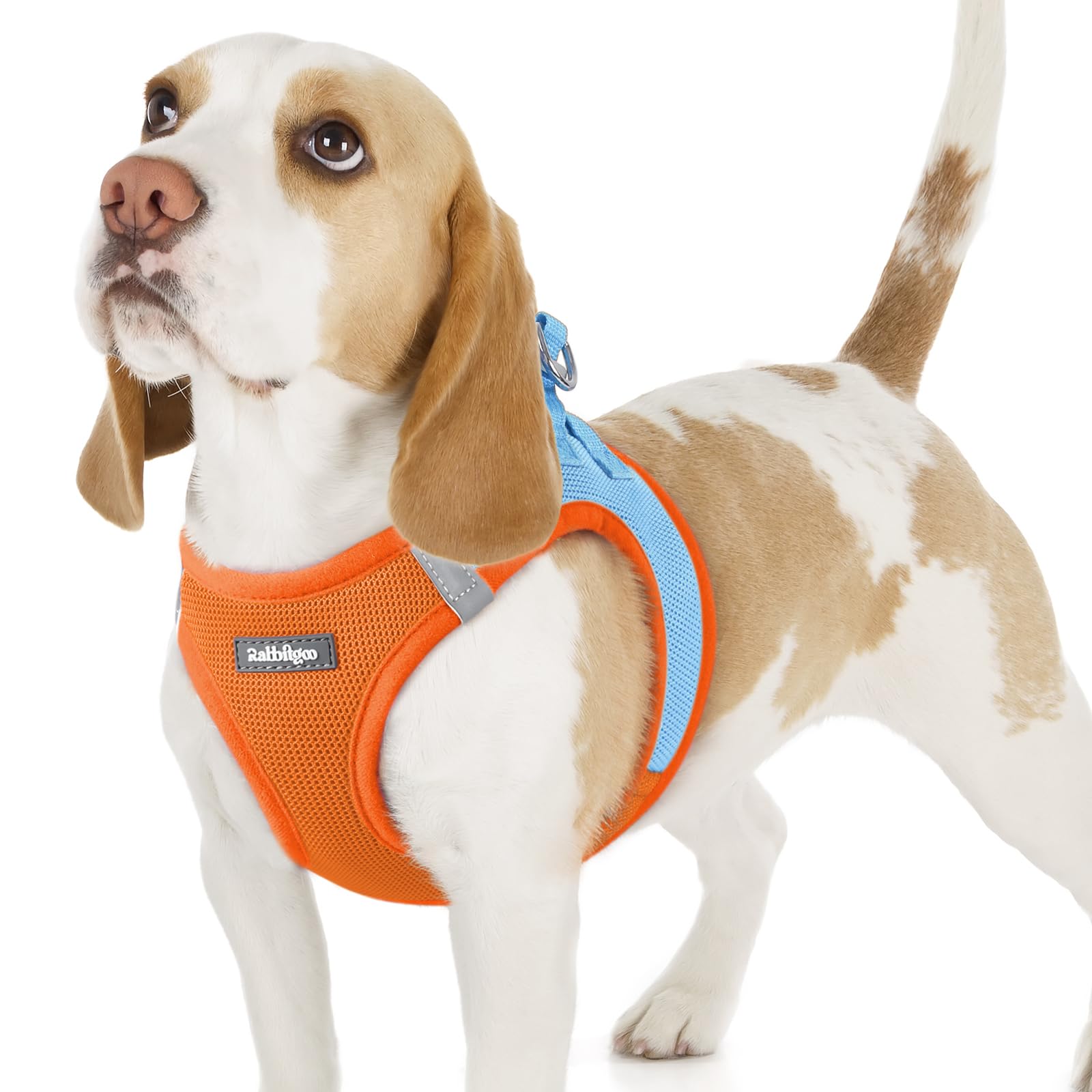 rabbitgoo Hundegeschirr kleine Hunde, Step-in Soft Mesh Hundegeschirr mit Sicherheitsverschluss, atmungsaktives und reflektierendes Welpengeschirr für kleine Hunde
