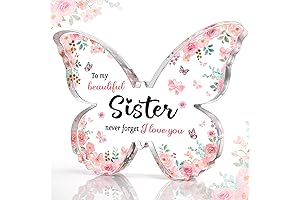 Butterfly Acrylic Plaque: a Cherished Keepsake for Your Sister