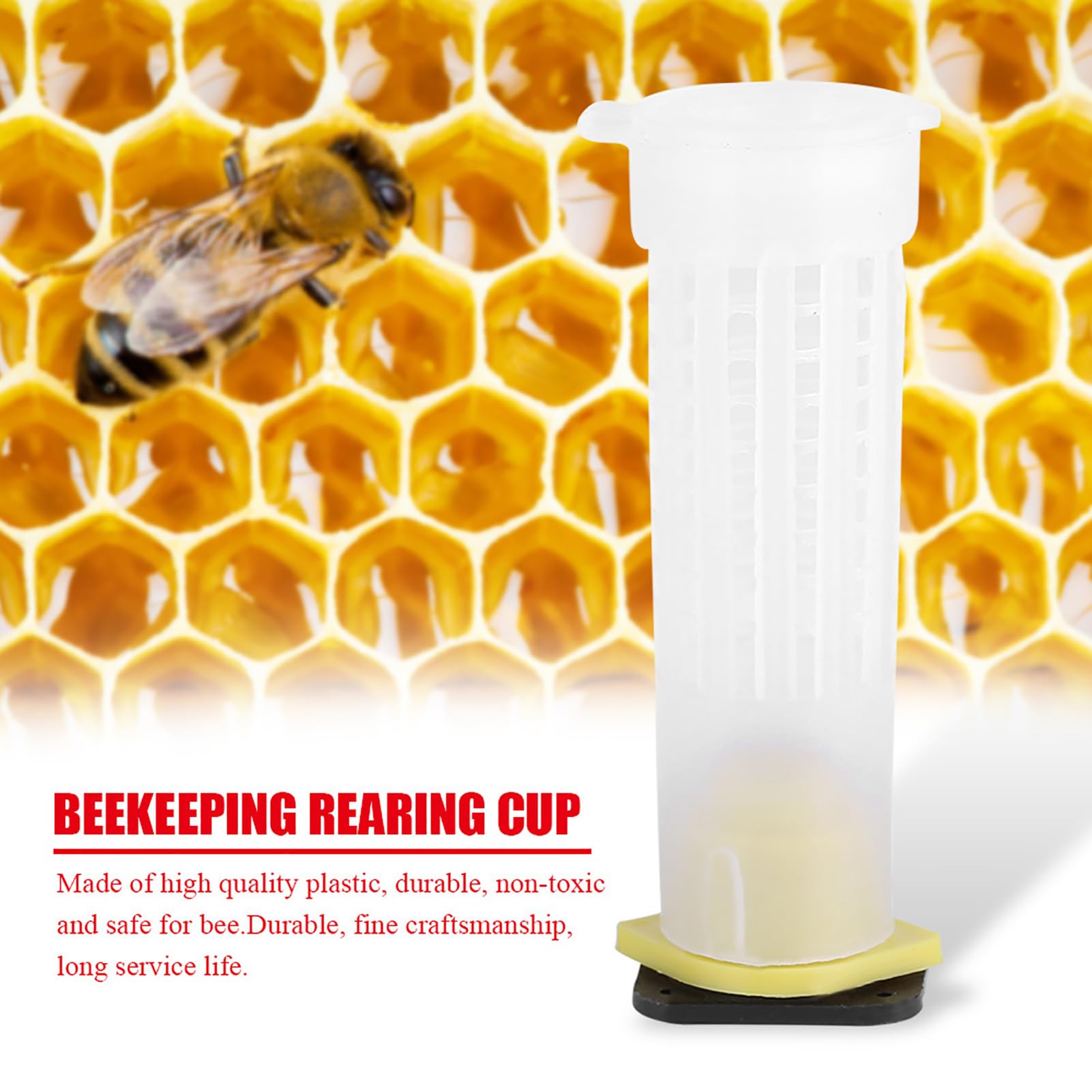 Acouto 100 Pezzi Kit Tazza per Allevamento Apicoltura Gabbie per Api Rullo Attrezzatura per Attrezzi per Apicoltore Gabbie a Rulli Complete per Apicoltura Tazza per Allevamento ApicolturaGabbie per