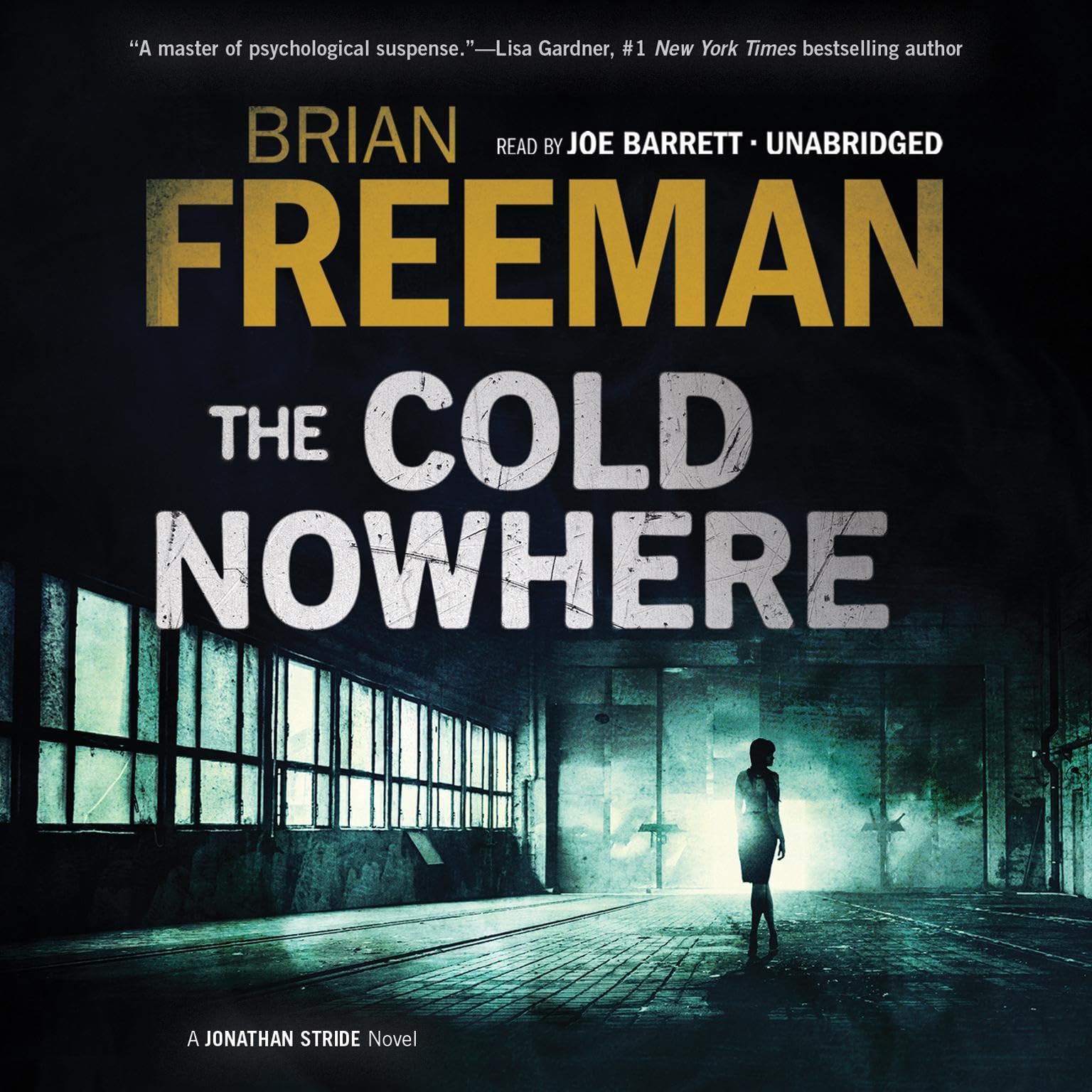Cover art for The Cold Nowhere