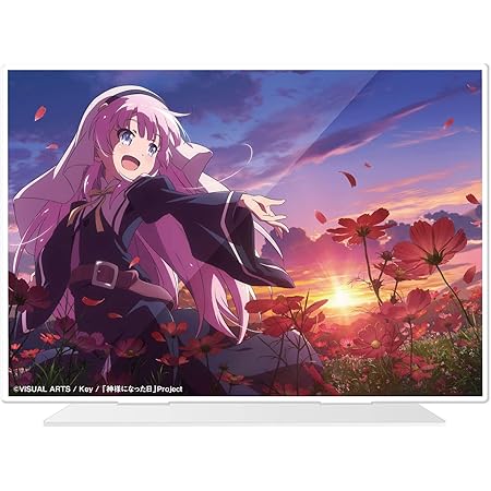 Amazon 神様になった日 アクリルイラストボード ひな アニメ 萌えグッズ 通販