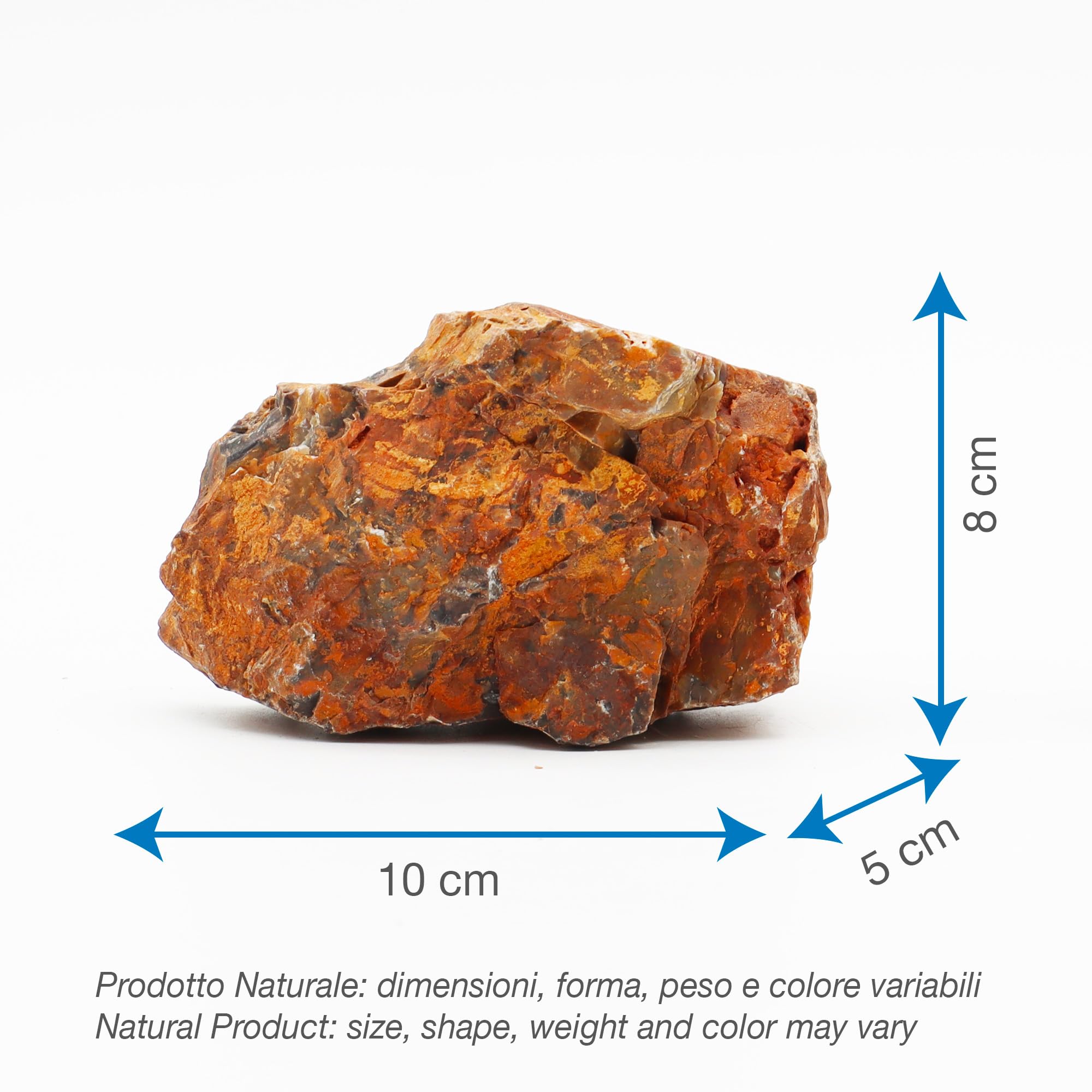 Amtra - Roccia Petrified, decorazione per acquario, naturale, non calcarea, 1 KG