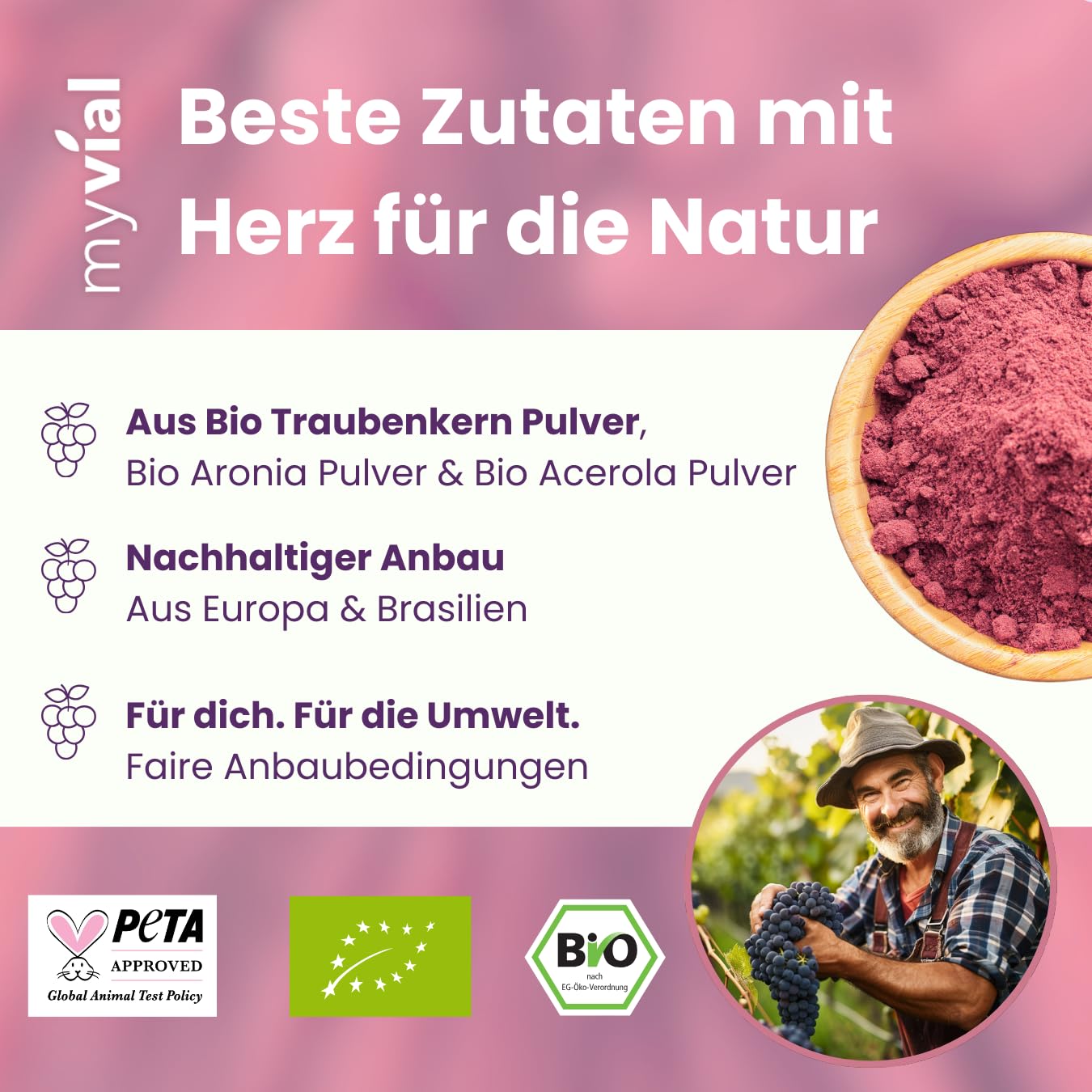 Bio OPC Traubenkern Aronia Kapseln – 120 Stück – Hochdosiert 400 mg – Mit natürlichem Vitamin C aus Acerola – Vegan & Laborgeprüft – Aus deutschen Weintrauben – Produziert in Deutschland