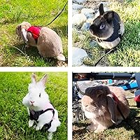 Vista 8 de PETTOM Arnés para Conejo Conejillo de Indias con Correa Elástica Extensible, Lindo Arnés de Malla Suave para Mascotas Pequeñas, Sin Tirones, Cómodo