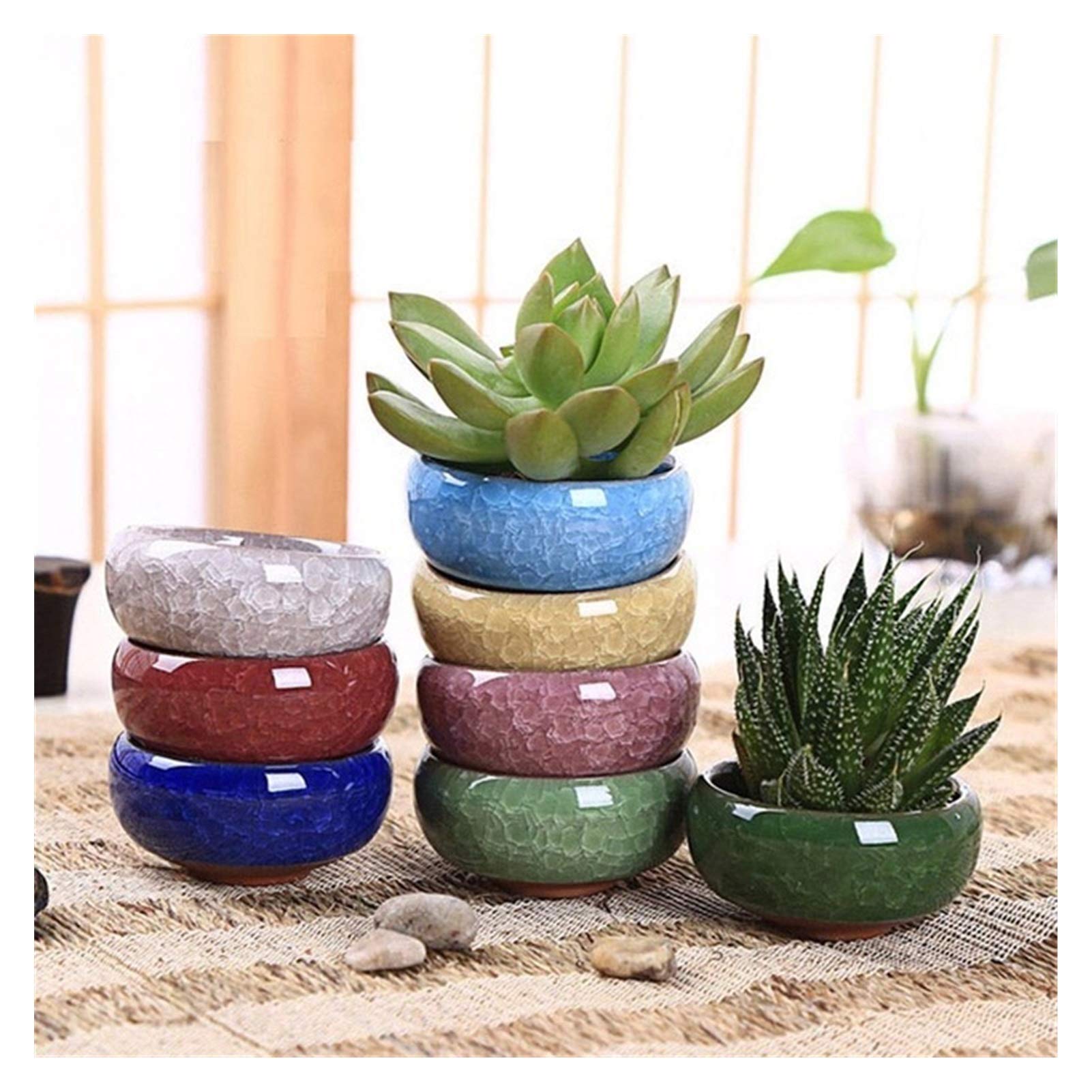 Amazon.co.jp: 多肉植物鉢 ジューシーな植物のための8個/ロットの氷の