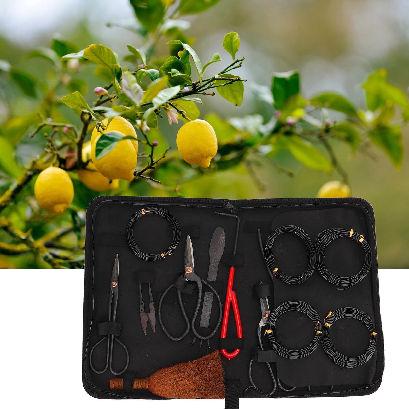 FLEXMAN 12Pcs Bonsai Tools Set, Kit de Herramientas de Jardín Multifuncional con Tijeras de Corte de Corte de Cabello Cóncavo Cónter Alambre de Cabello Cortador de Barra
