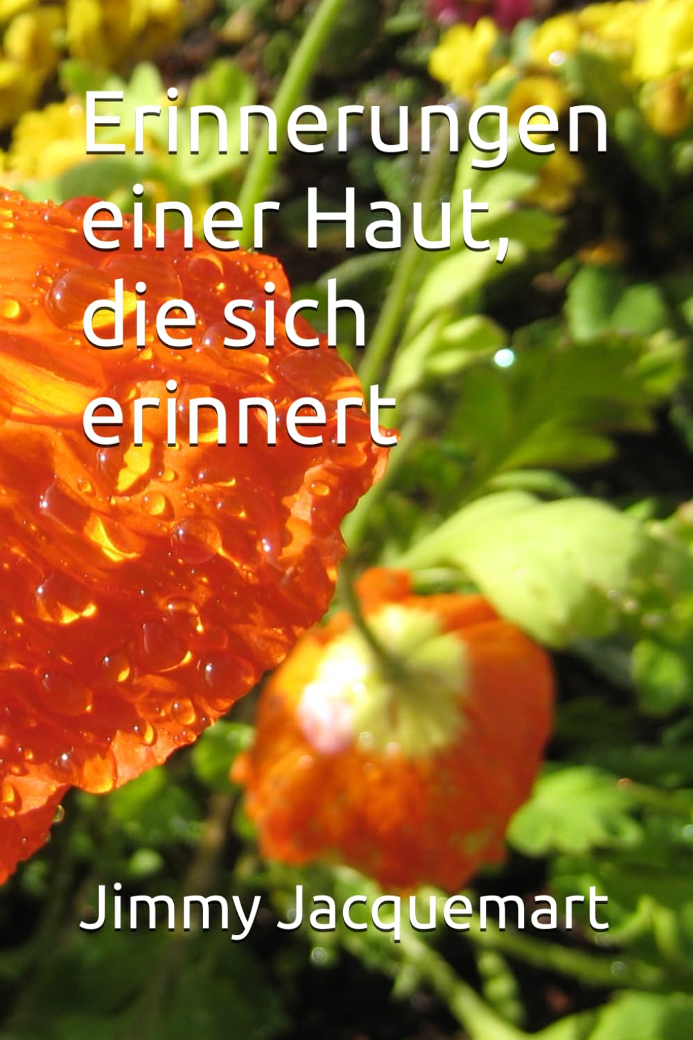 Erinnerungen einer Haut, die sich erinnert