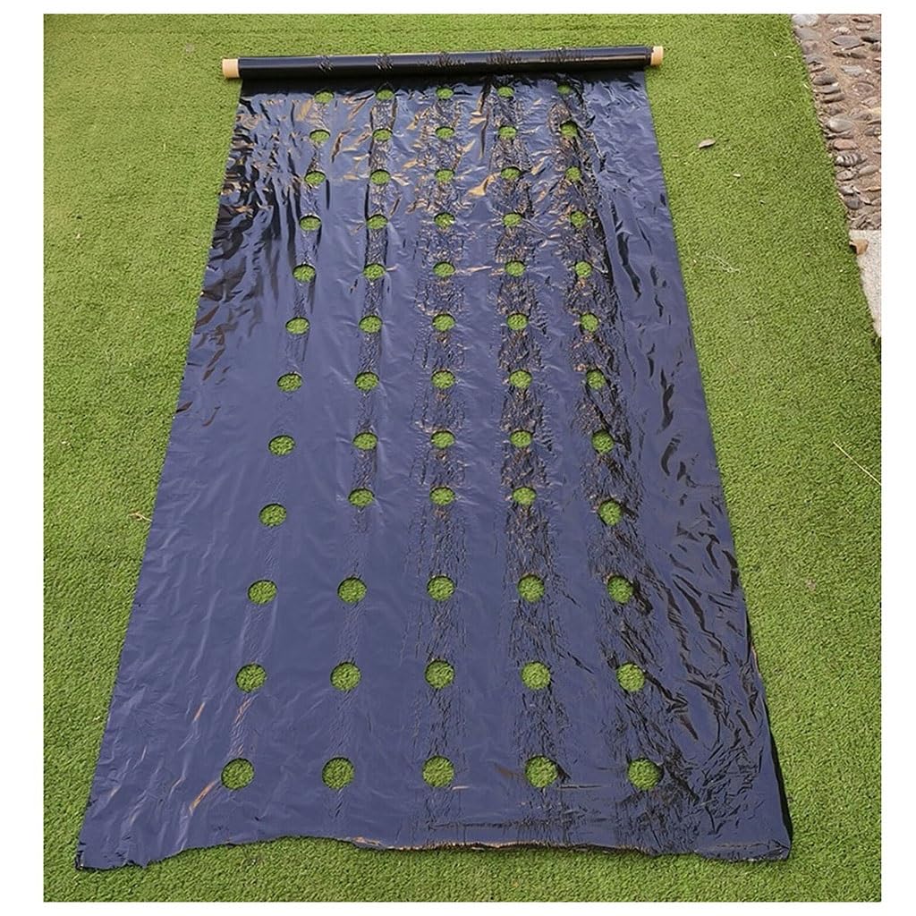 Folia do przykrywania gruntowych szklarni, Perforowana folia ściółkująca rolnicza czarna 95 cm, różne rozmiary, 5 otworów 45 mm, do pomidorów i truskawek(0.95x30m)