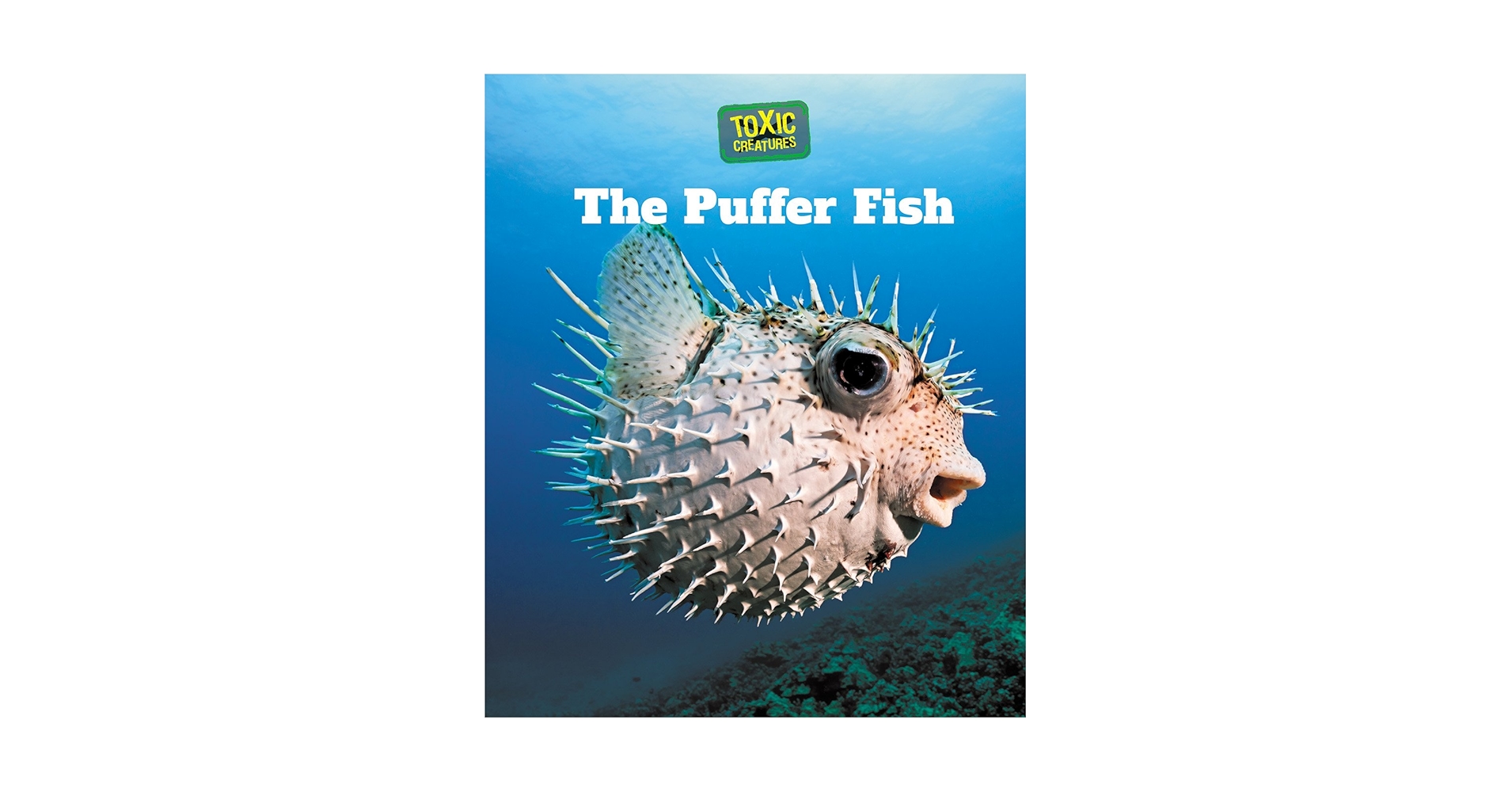 The Puffer Fish (Toxic Creatures): Klepeis, Alicia Z