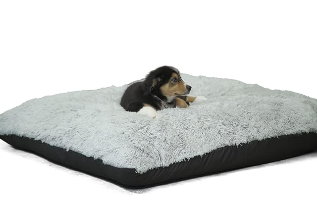 Foto 2 de 8 de bananair - Cama para Perro de Piel Sintética, Suave y Agradable - Relleno de Espuma, Muy Cómodo