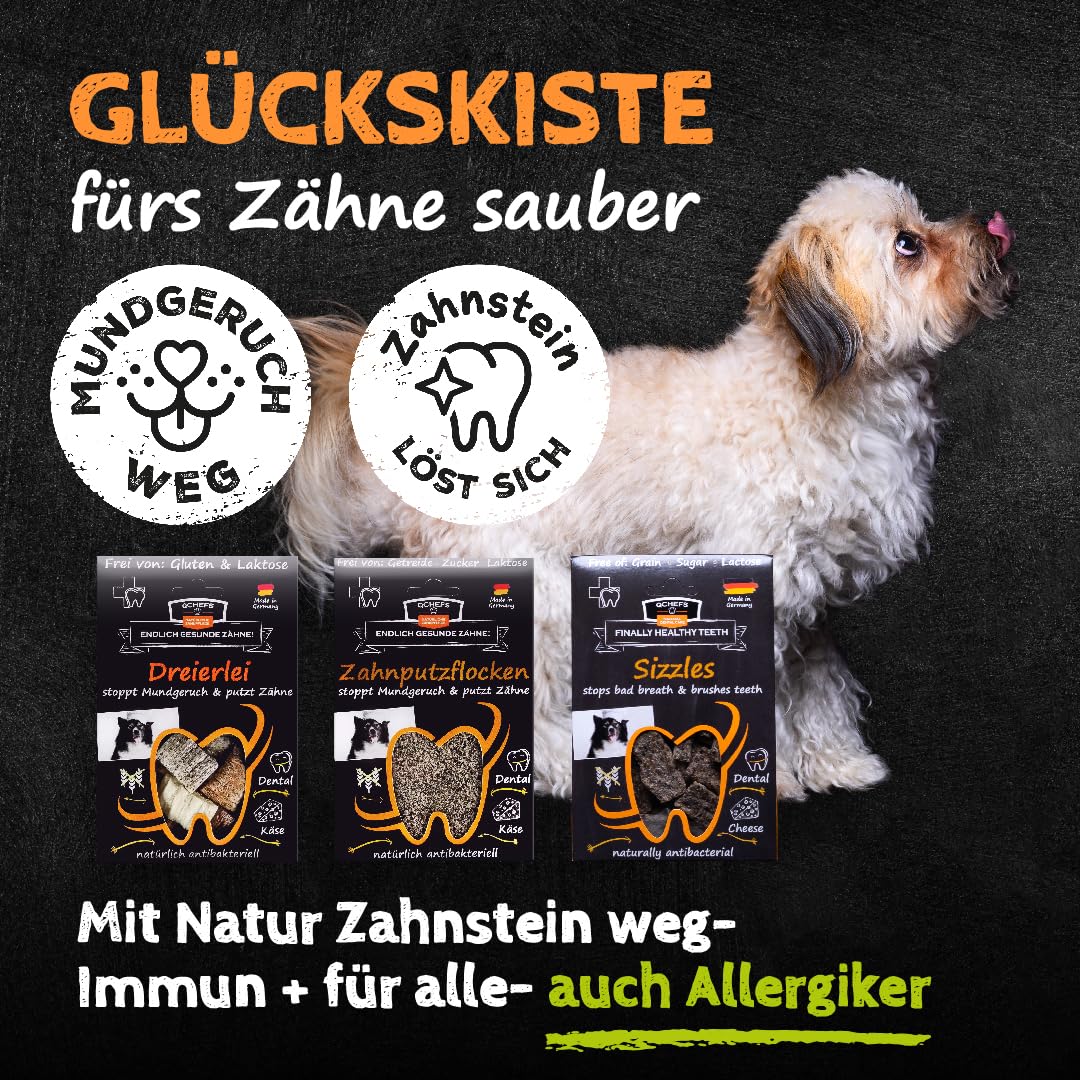 QCHEFS Glückskiste Dose Geschenk Hund Zahnpflege gegen Zahnstein Mundpflege | Mit Natur Zahnpflege, Auch gegen Zahnstein und Entzündungen