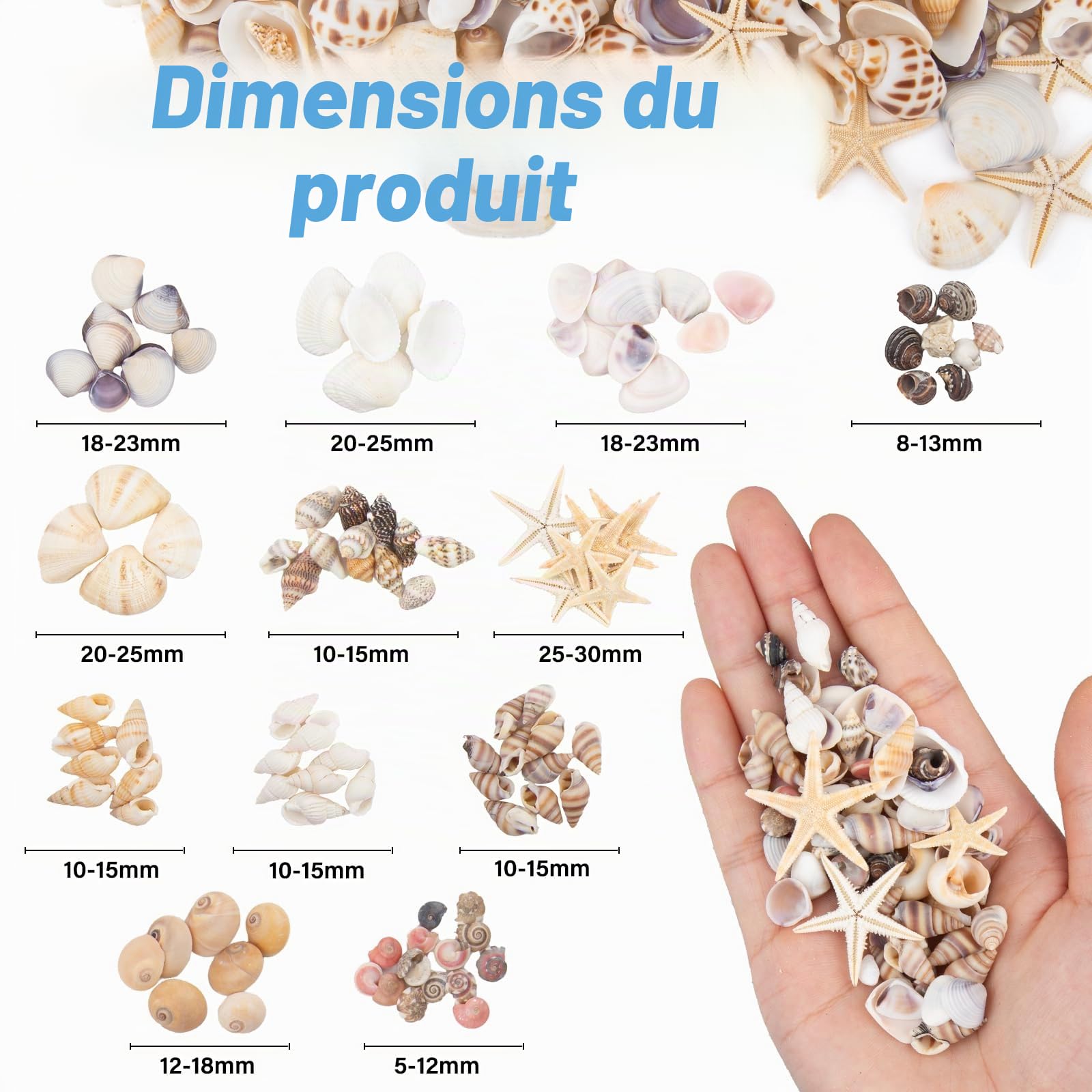 1000pcs Mini Coquillages Mélangés, 20 Variété de Petits Coquillages en Vrac pour Travaux Manuels, Coquillages de Plage Naturels, Bricolage, Plage, Fête, Mariage, Aquarium