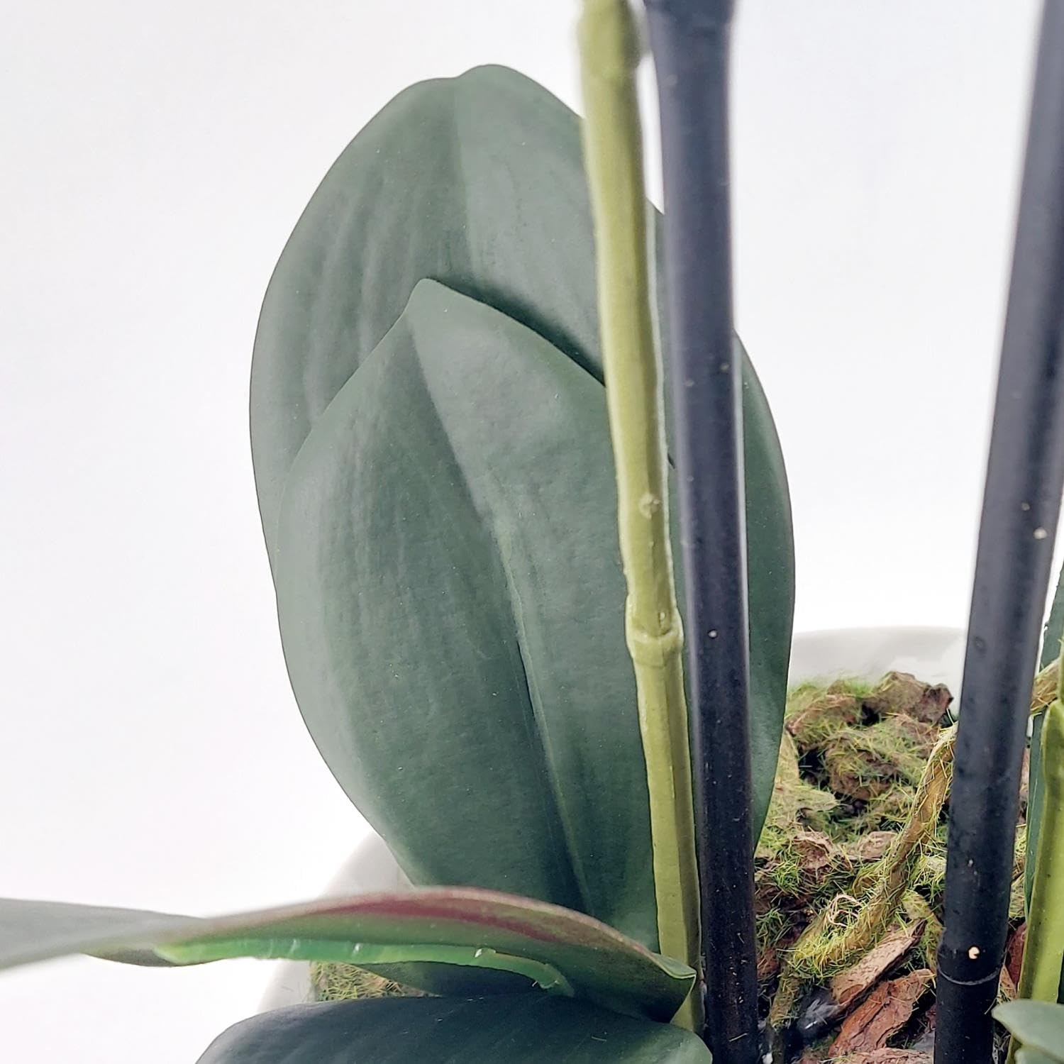 DPI künstliche Orchidee REAL Touch weiß in Keramiktopf H. 48cm Kunstblumen