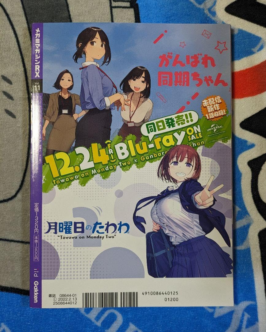 Amazon.co.jp: メガミマガジンRX vol.11 ポスター : おもちゃ