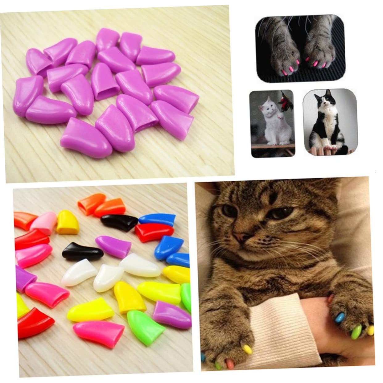 BESPORTBLE 420 Pcs Ensembles Couvre-Ongles pour Animaux De Compagnie - Cache-Griffes pour Orteils De Chat Protège-Griffes pour Animaux De Compagnie Capuchons De Griffes De Chat Capuchons De