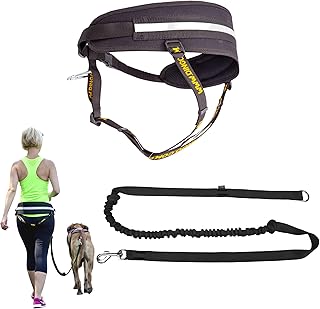 Dingo Multifunktions Lauf-Gürtel+Hundeleine mit Griff Karabiner Leine mit Ruckdämpfer Schwarz Canicross zum Joggen mit dem Hund Dogtrekking,Skijöring Z30004