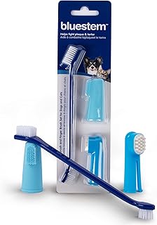 Bluestem Toothbrush and Finger Brush (Brush Set)