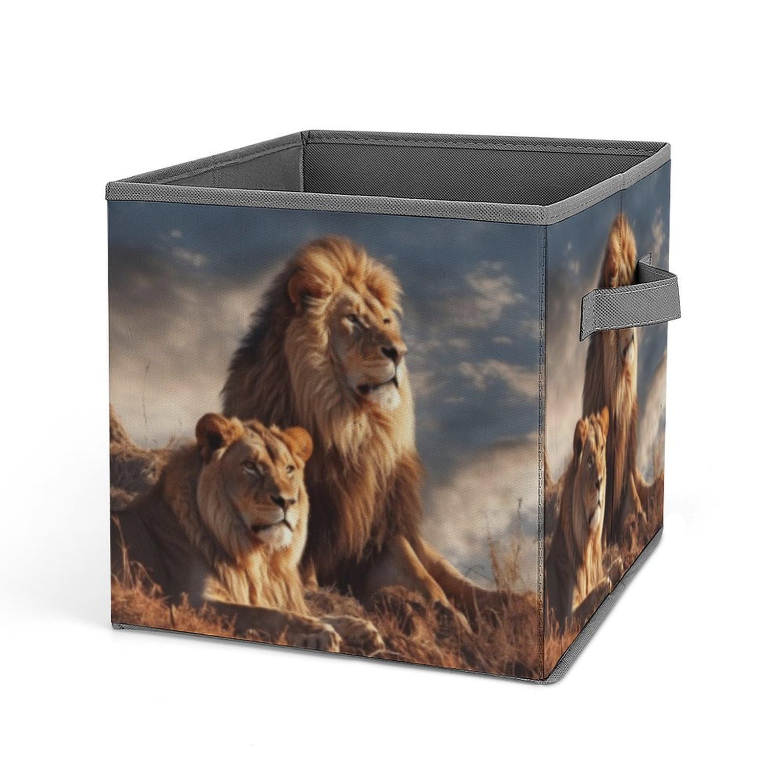 JTREHY Two Lions Printed Foldable Storage Box, 10.6 Inches Fabric Storage Box for Wardrobe, Bedroom, Utility Room