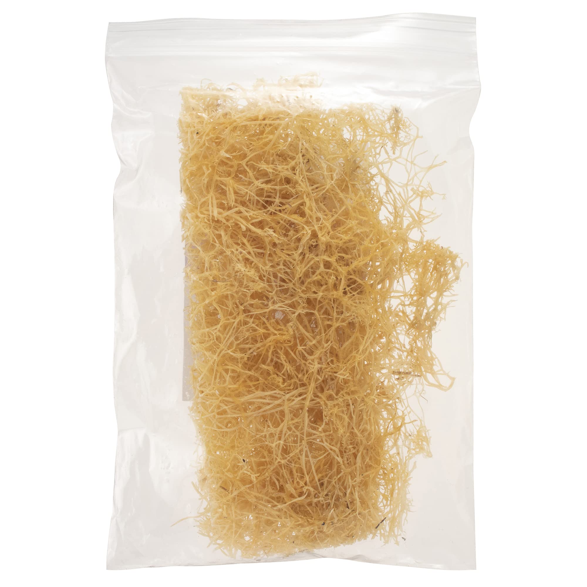 ふのり10枚 ふのり（九州天草産） - ケンコウかいそうjp（健康海藻） 熊本