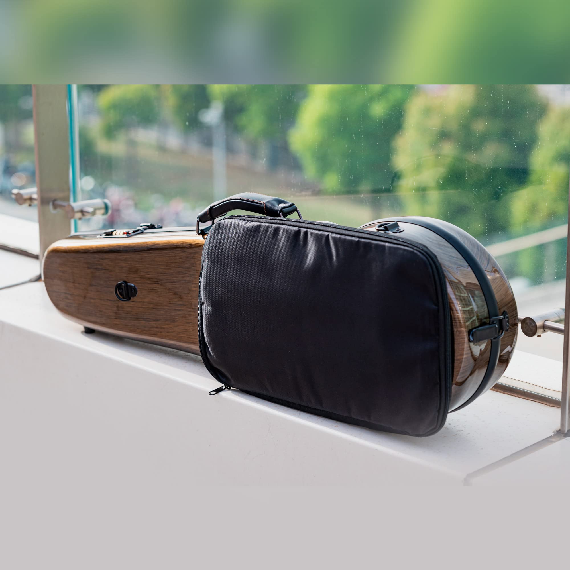 Amazon.com: Christina 4/4 Full Size Violin case High-Strength