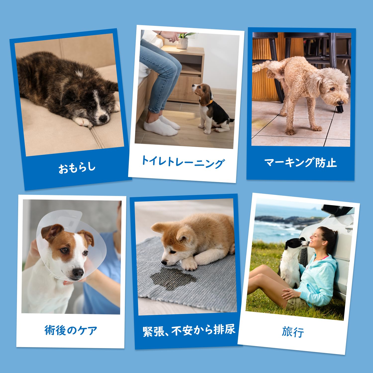 Amazon.co.jp: Dono 犬用おむつ 男の子用 マナーベルト 高吸収 通気性