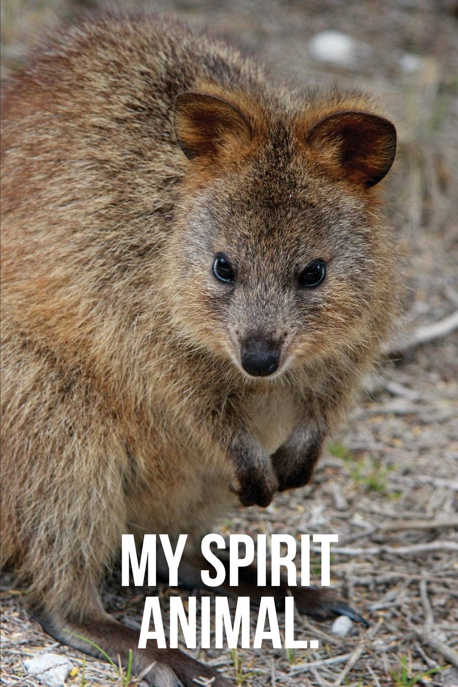 My Spirit Animal: Quokka Journal