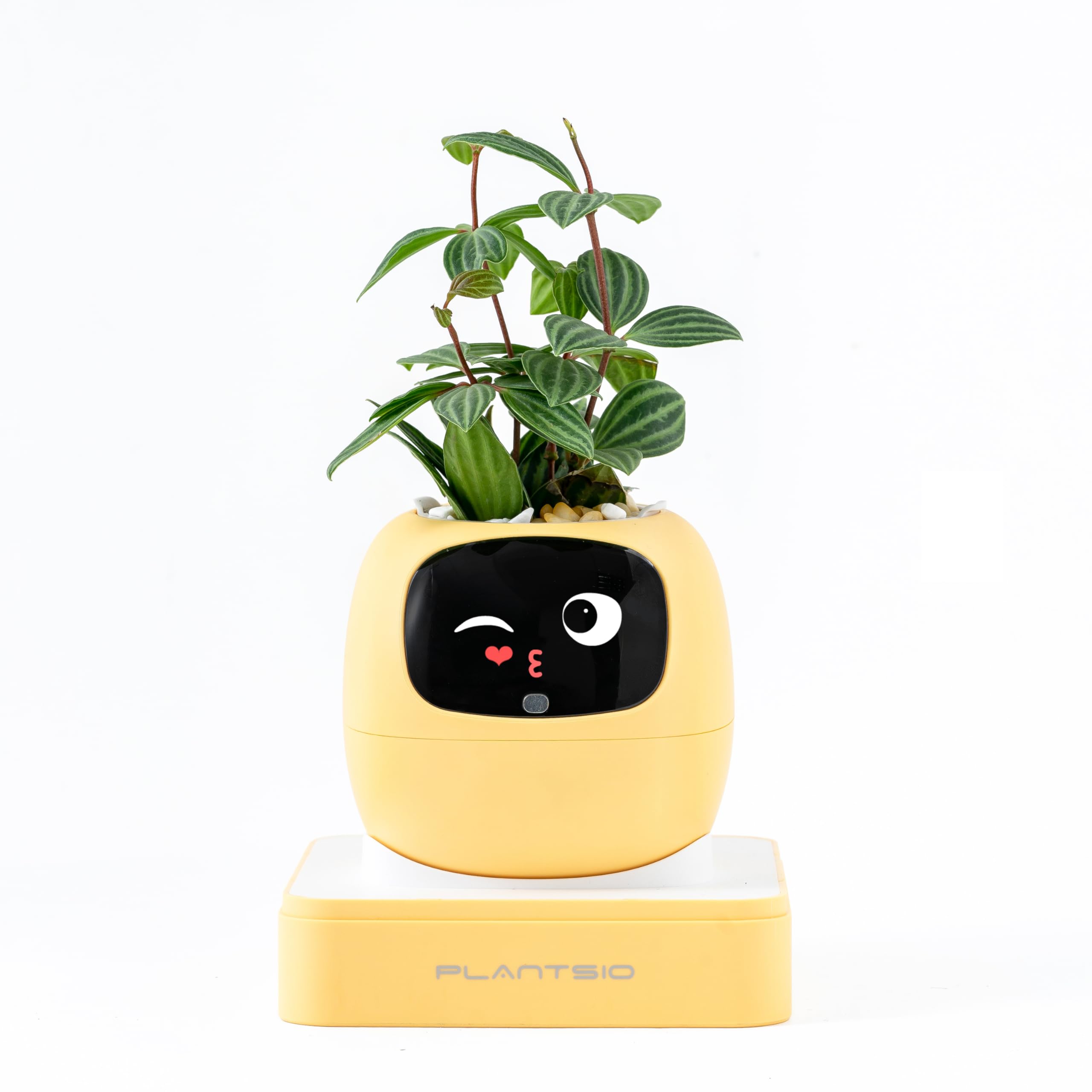 Upgraded Smart Pet Flower Pot 2.0, Fully Upgraded Version,Interactive Flower Pot, Multifunctional intelligent, Big Data With 7 Sensors To Assist In Planting, for Succulents and Other Plants