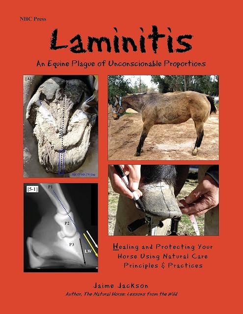 Portada de Laminitis: An Equine Plague of Unconscionable Proportions: Healing and Protecting Your Horse Using Natural Principles & Practices