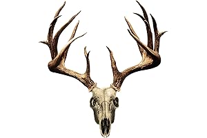 Mossy Oak Graphics Truck Deer Decals: Enhance Your Rig with Wildlife Flair