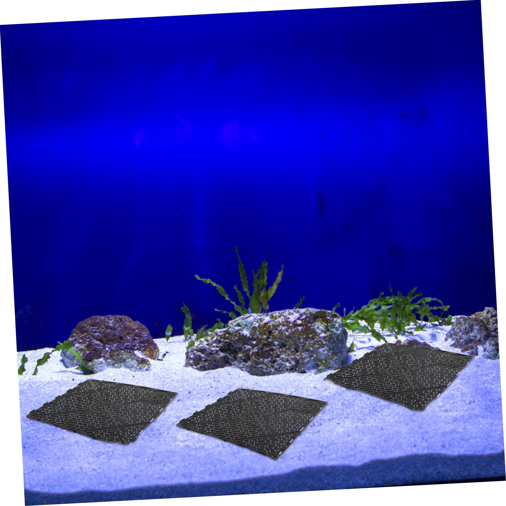 40 STK Filterplatte Für Aquarien Sieb Schwarze Aquarien-trennschalen Kiesschale Für Aquarien Schwarzer Kies Für Aquarien Aquarienfilter Zubehör Unteres Filteraquarium Gießen Black