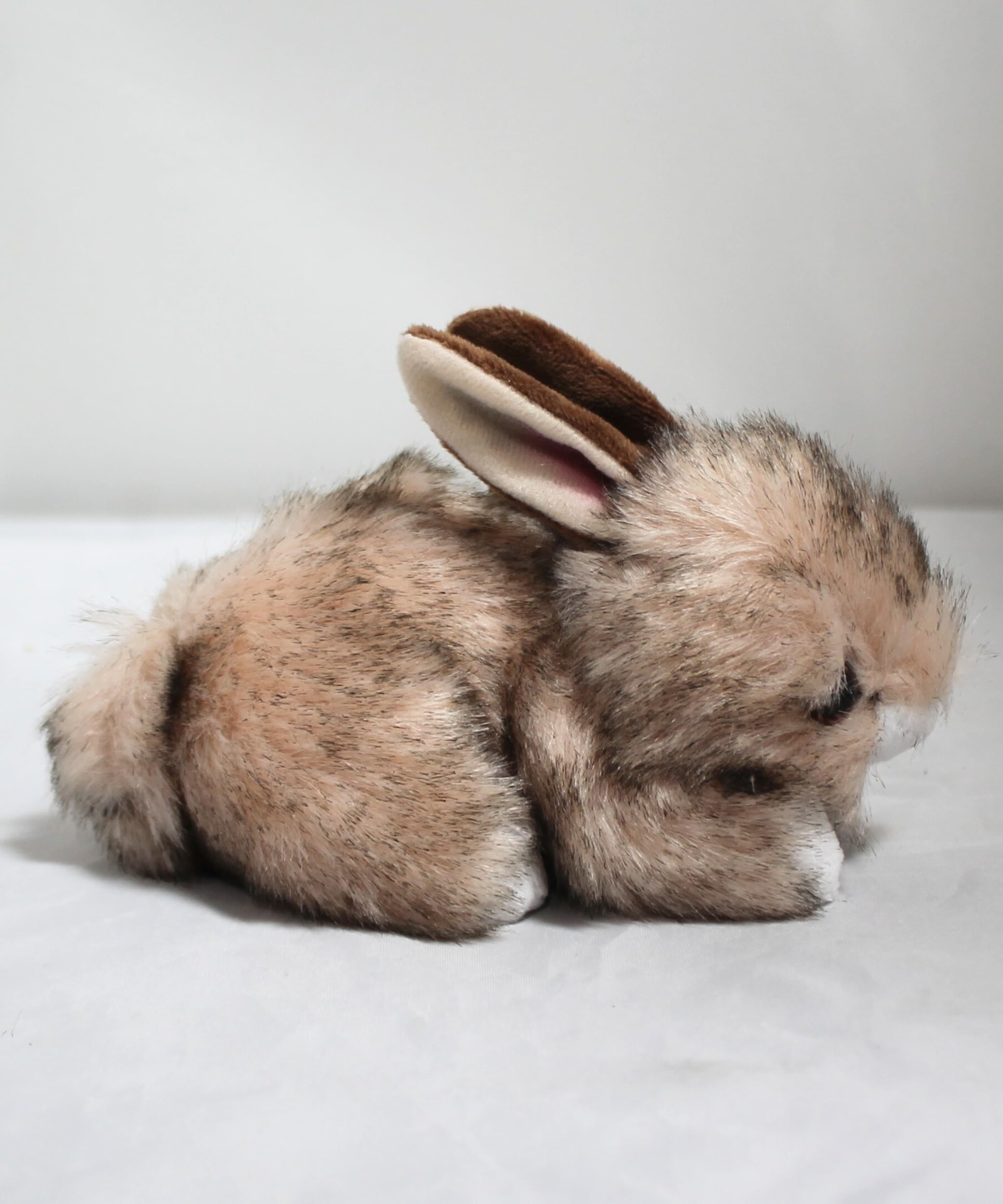 Ty 42115 Buster Brown Bunny pluszowe zwierzątko, brązowy