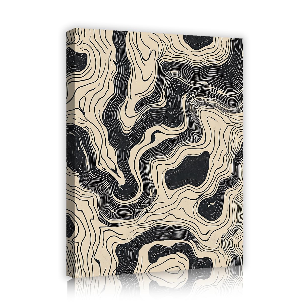 TOANGWALL Modern Minimalist Canvas Wall Art for Lounge Black and White Topography Line Prints Artwork Posters for Corridor Study Decor 80x95cm