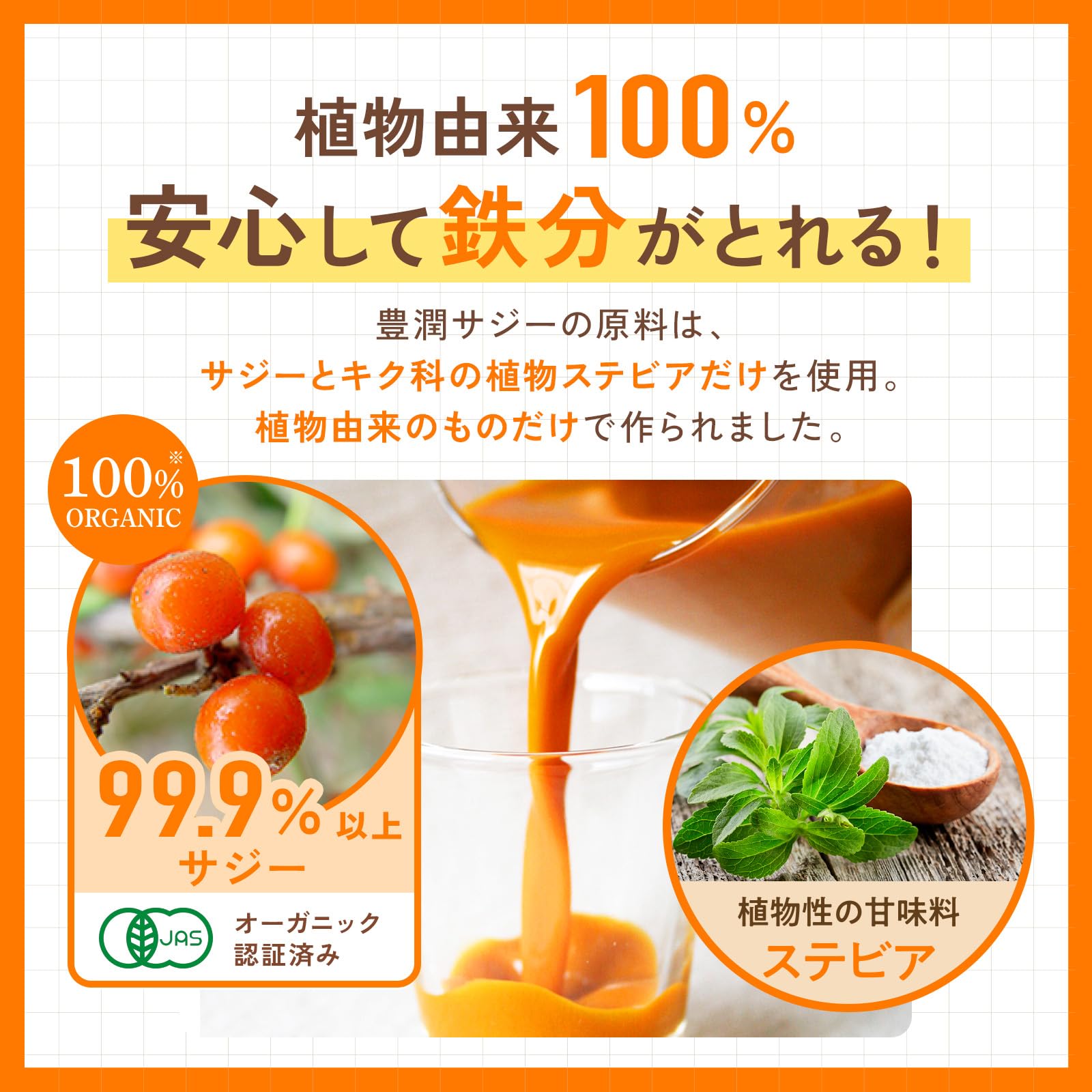 Amazon.co.jp: 豊潤サジー【スティックタイプ30ml×30本】公式 フィネス