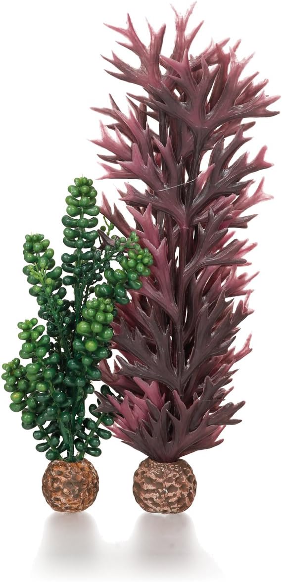 biOrb Seapearls & Kelp, Medium
