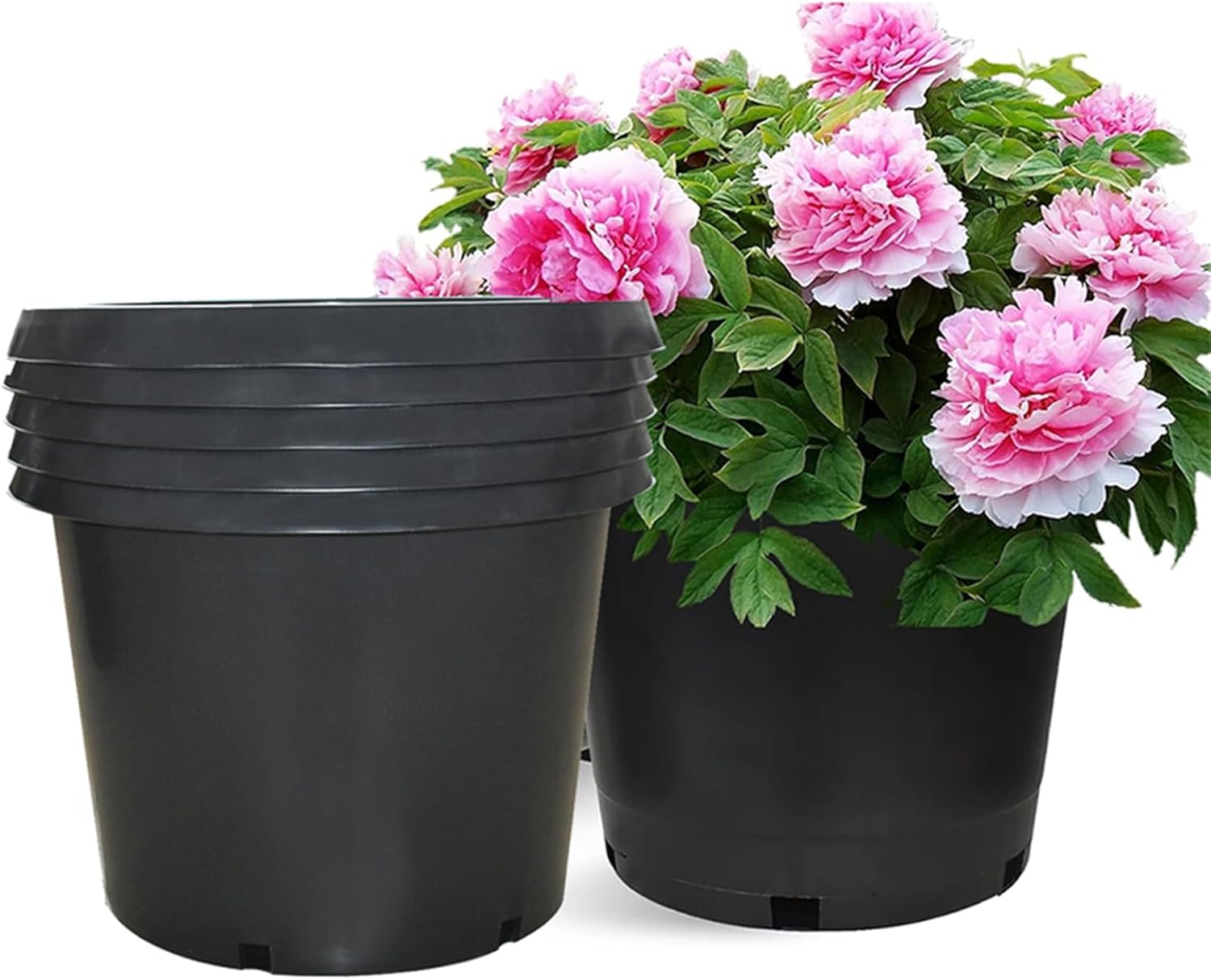 Plant Nursery Pot 5-Pack 20 Gallon Plastic Garden Planter Pots Flower Seedling Injection Molded Container Seed Starting Pot Set for Indoor Outdoor Plants Seedlings Vegetables Black