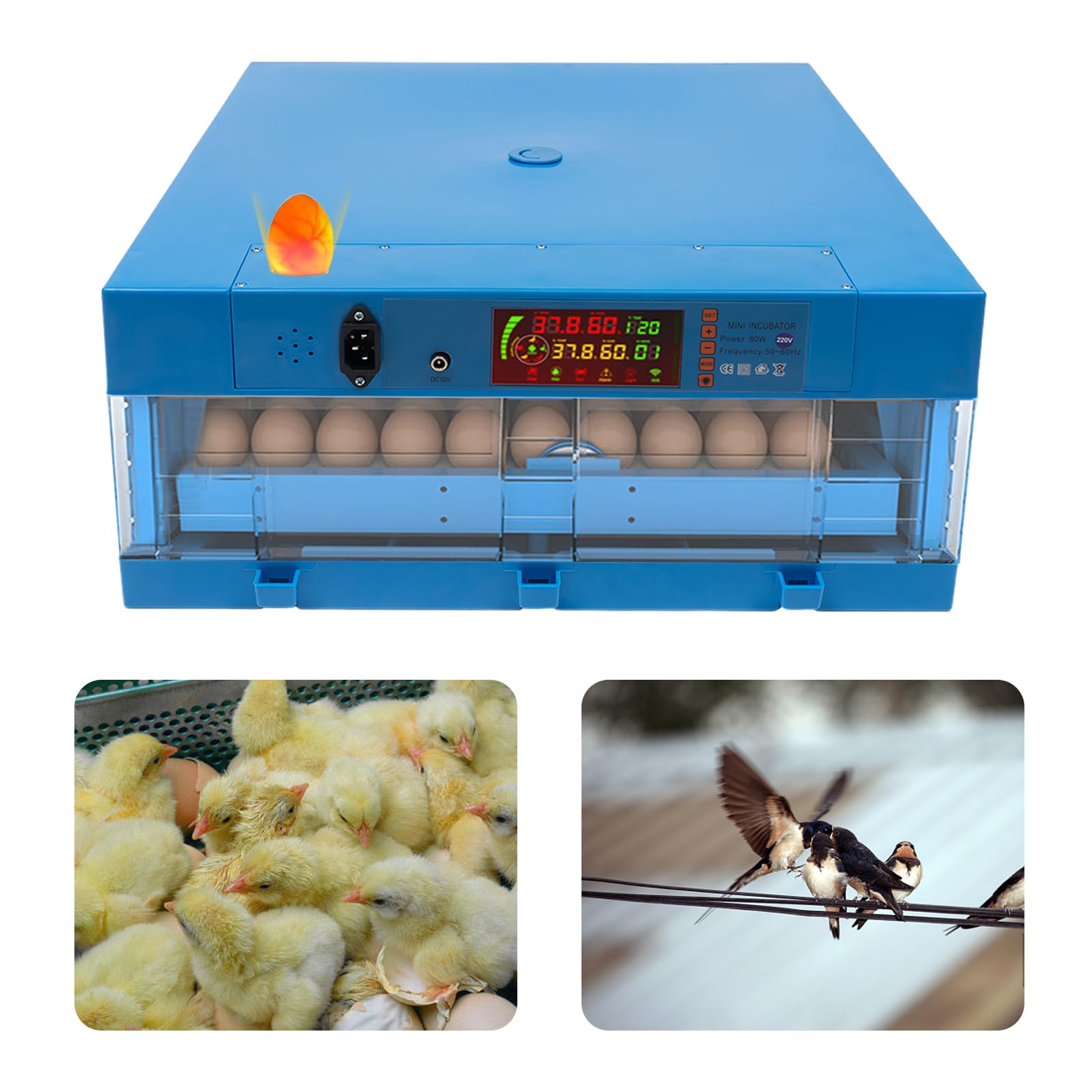 Incubadora totalmente automática para 64 huevos, incubadora de huevos con capacidad para 64 huevos, 360° ventilación digital, cuenta regresiva para gallinas/patos/gansos, azul, criador