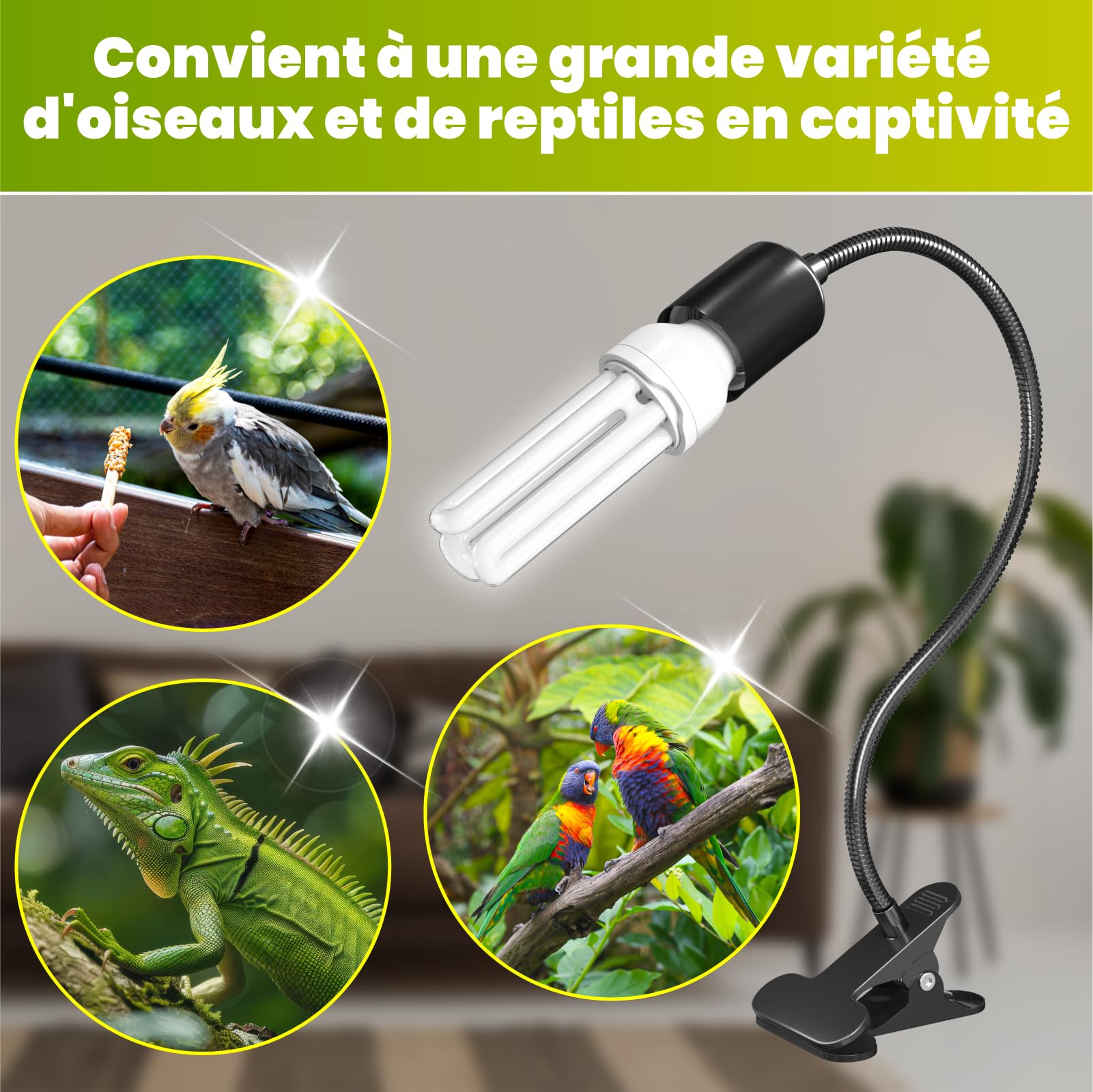GlowUp UVB 2.4 Kit complet d'éclairage pour oiseaux, lampe à pince avec UVB 2.4 ampoule E27 20W pour oiseaux