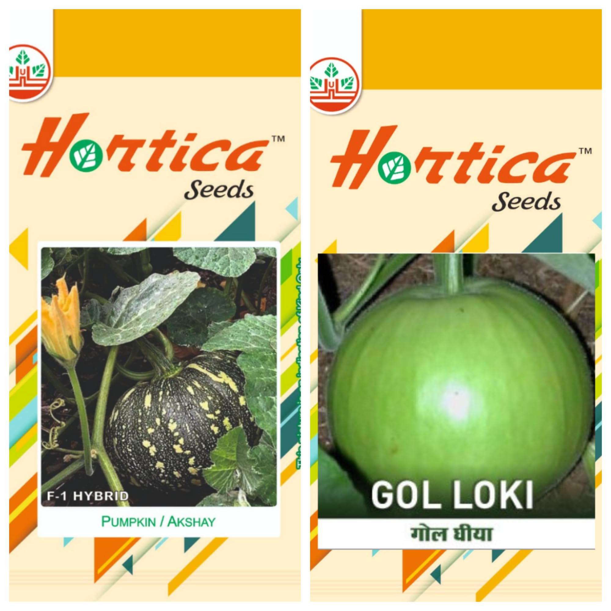 Vegetable Seeds Pack of 2 (Pumpkin, Round Bottle Gourd)-picture-27