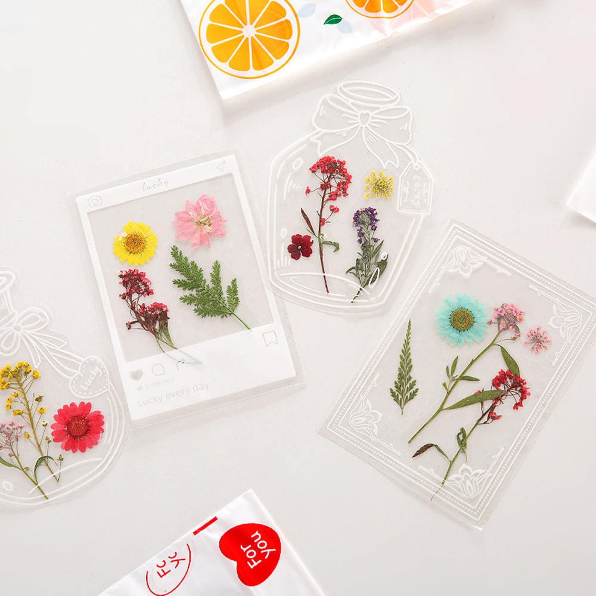 Amazon | 押し花しおりキット 24枚セット ドライフラワーの Amazon | 押し花しおりキット 24枚セット ドライフラワーの