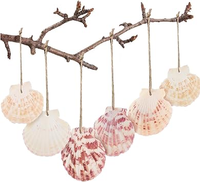 SINKOO 30PCS Scallop Shells, Natural Seashells 1.7"-2.6" with Rope, Pre-Drilled Perforated Shells for Christmas Tree Ornaments, Painting, DIY Hanging Crafts, Beach Wedding Party Home Decor, Gift