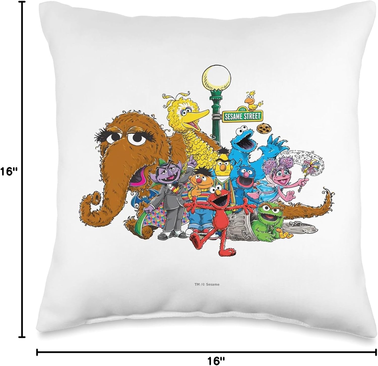 Sesame Street Group Street Light Throw Pillow