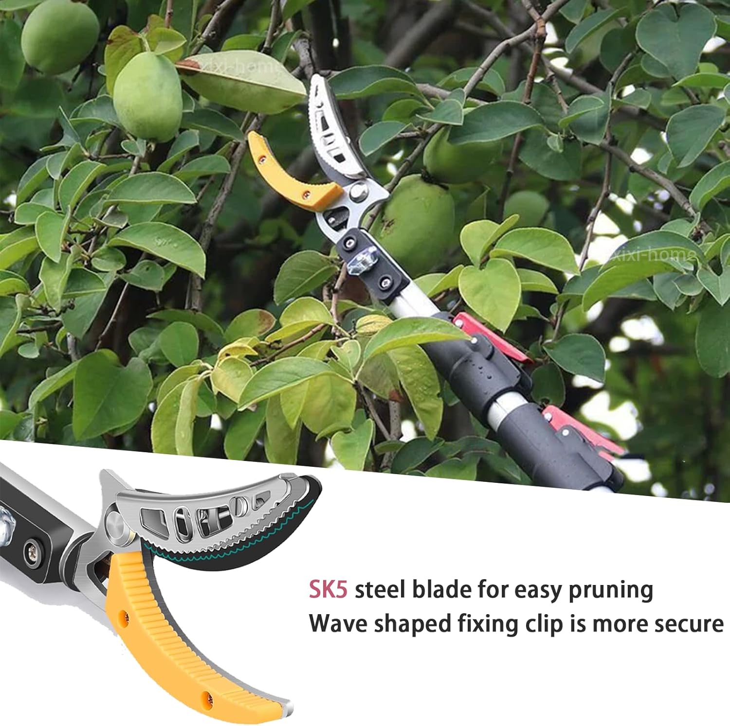 xixi-home 4.2-7.2 Ft Extendable Tree Pruner,Lightweight Tree Trimmers Cut and Hold Pruners,Long Reach Pole Saw Pruning Shears and Hold Branches Bypass Lopper Telescoping Fruit Picker
